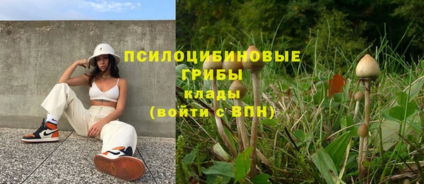 крисы Алексин
