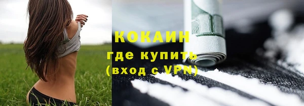 молекула духа Алексеевка