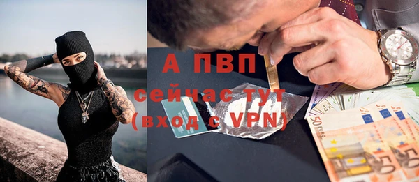 крисы Алексин