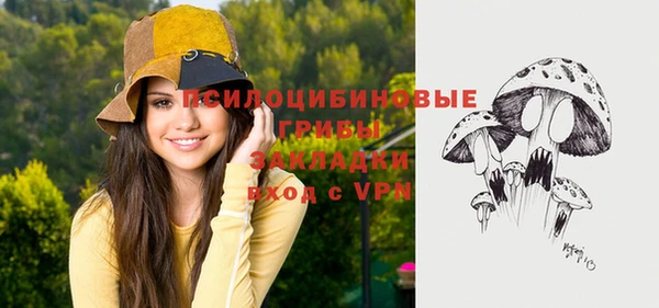 молекула духа Алексеевка